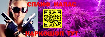 гашик Апрелевка
