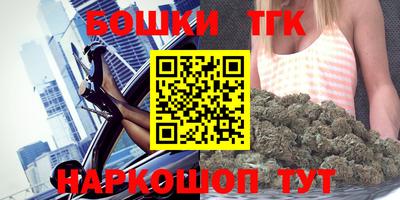 индика Аргун