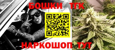 индика Аргун