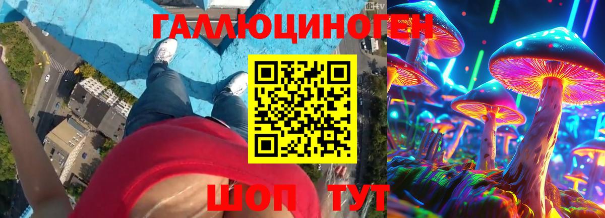Вятские Поляны  Галлюциногенные грибы GOLDEN TEACHER  Псилоцибиновые грибы ЛСД  Вход с VPN 